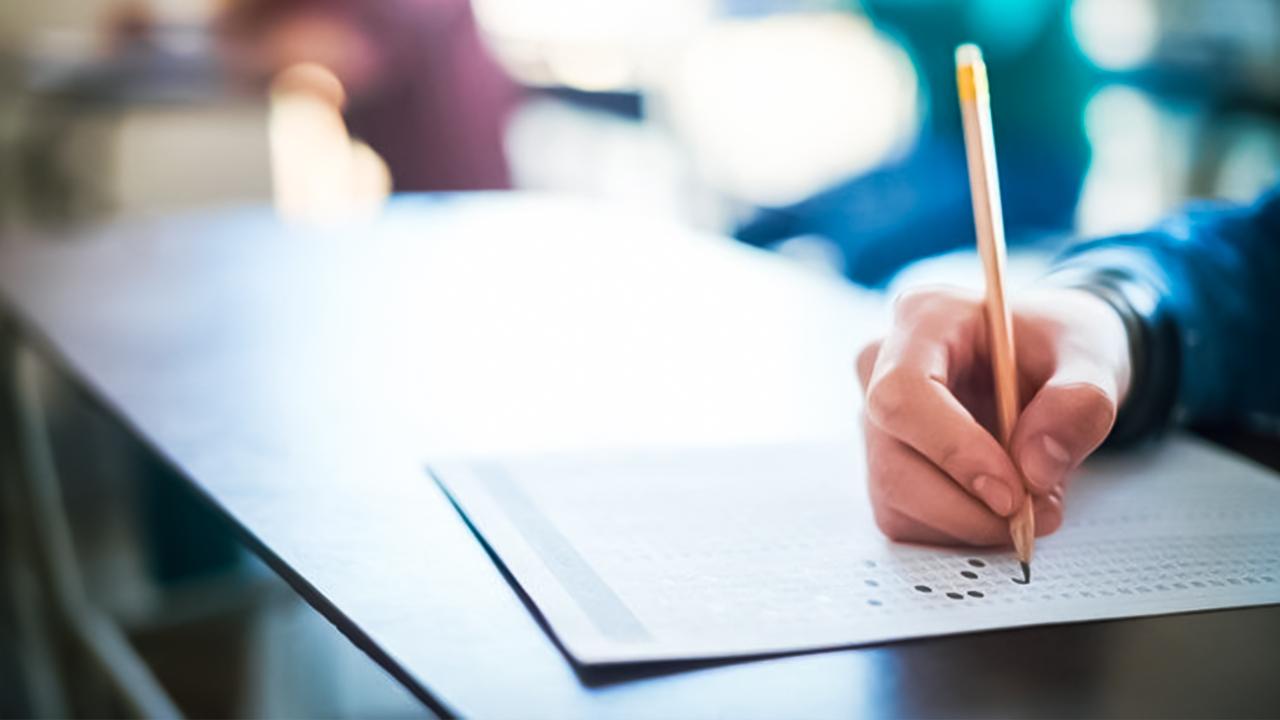 Kent Ormanı Açıldı