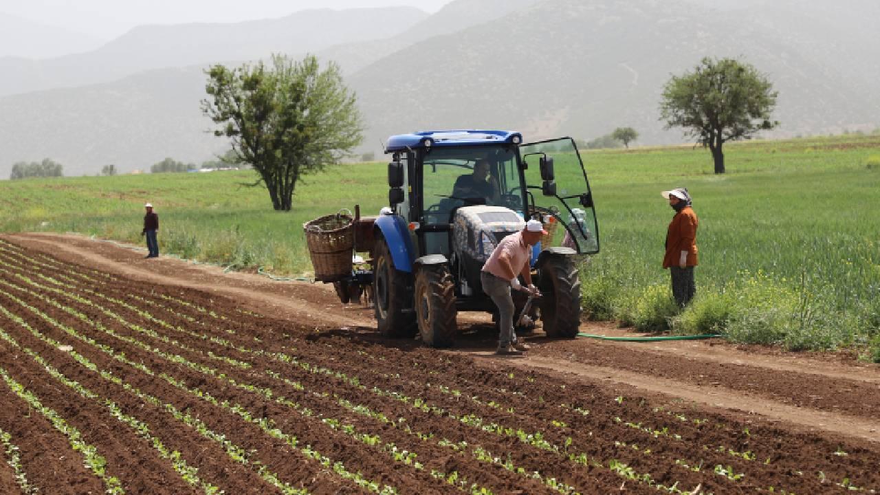 Okul Sporları Final Maçları