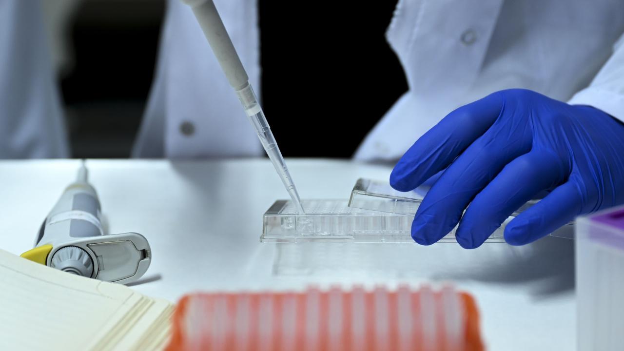 Burs Başvuruları Başladı